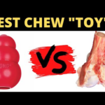 I rank the best chew "toys" for your dog.