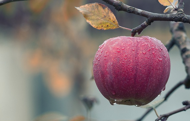 Green Apples