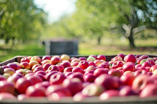 Green Apples