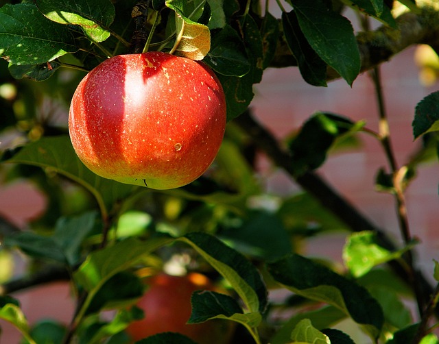 Green Apples