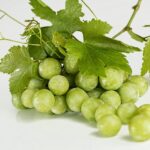 green-grapes-640x480-99897249.jpeg