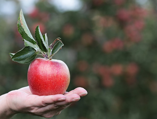 Red Apples