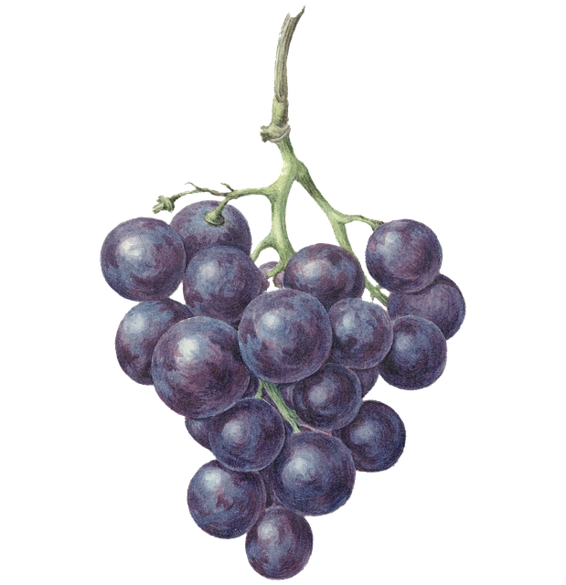 Red grapes