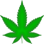 cannabis-weed-marijuana-640x480-16708985.png