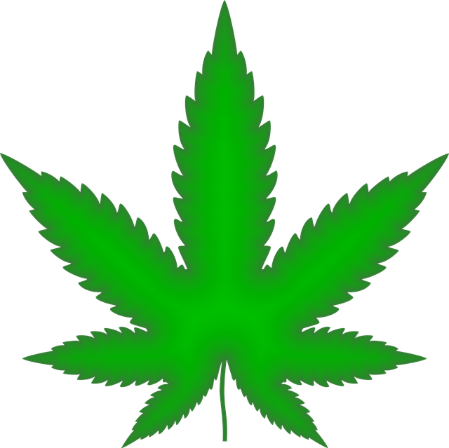 cannabis-weed-marijuana-640x480-16708985.png