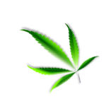 cannabis-weed-marijuana-640x480-16814254.png