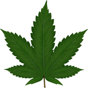 cannabis-weed-marijuana-640x480-22043229.png