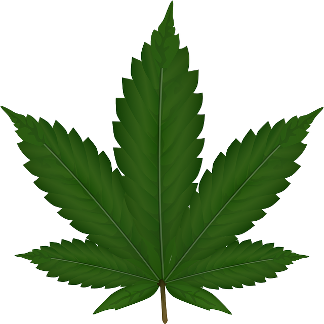 cannabis-weed-marijuana-640x480-22043229.png