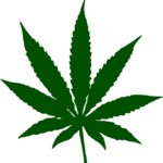 cannabis-weed-marijuana-640x480-3844675.png