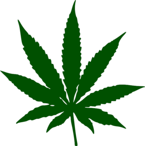 cannabis-weed-marijuana-640x480-3844675.png