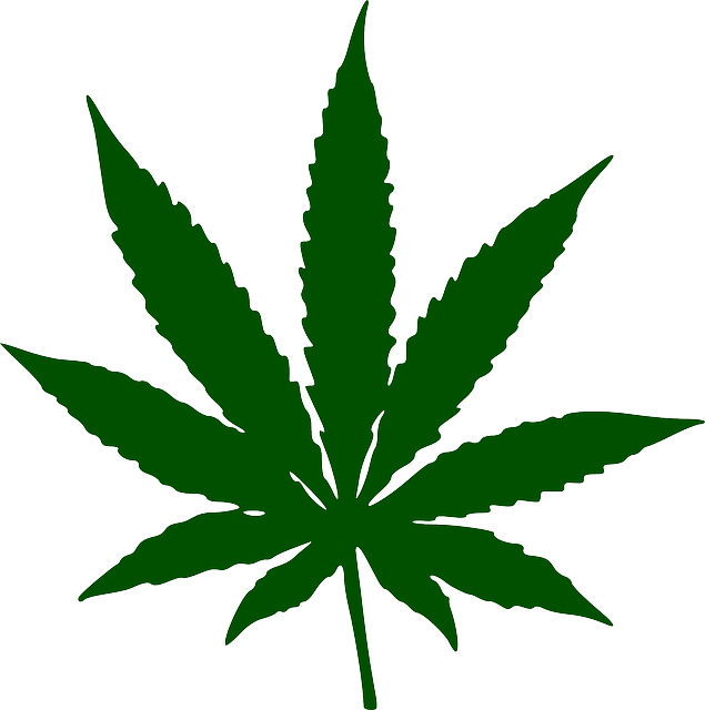 cannabis-weed-marijuana-640x480-3844675.png