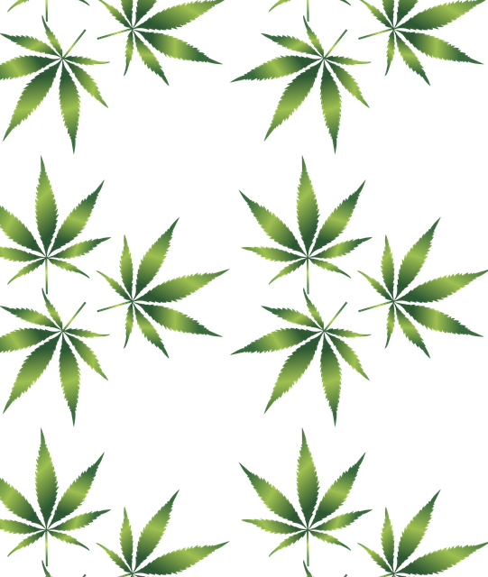 cannabis-weed-marijuana-640x480-61390863.png