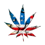 cannabis-weed-marijuana-640x480-74367835.png