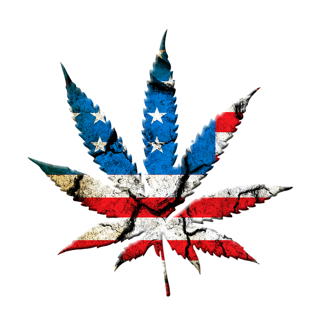 cannabis-weed-marijuana-640x480-74367835.png