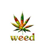 cannabis-weed-marijuana-640x480-85934702.png