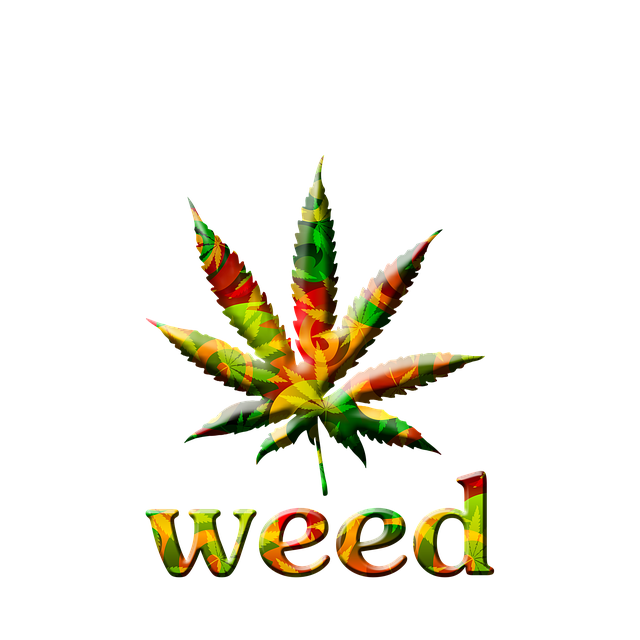 cannabis-weed-marijuana-640x480-85934702.png