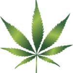 cannabis-weed-marijuana-640x480-94973595.png