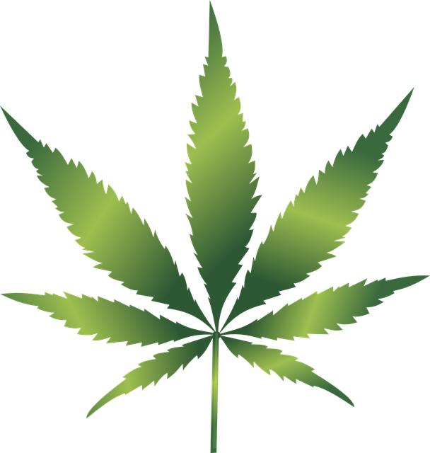 cannabis-weed-marijuana-640x480-94973595.png