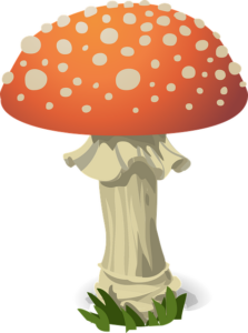 mushroom-gummies-640x480-27141452.png