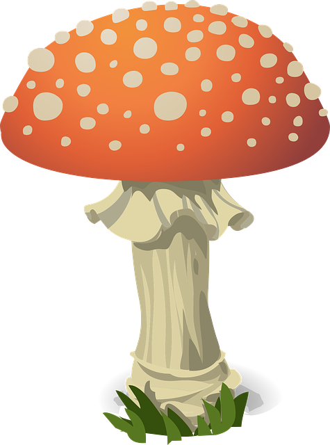 mushroom-gummies-640x480-27141452.png