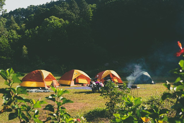 camping