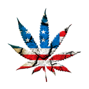 cannabis-weed-marijuana-640x480-31038531.png