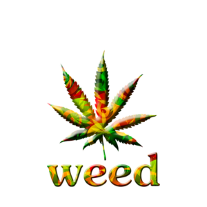 cannabis-weed-marijuana-640x480-45330681.png