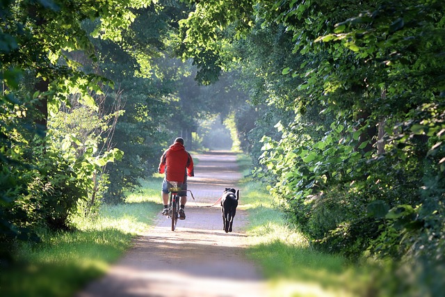 cycling