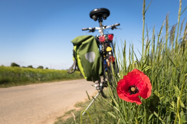 cycling