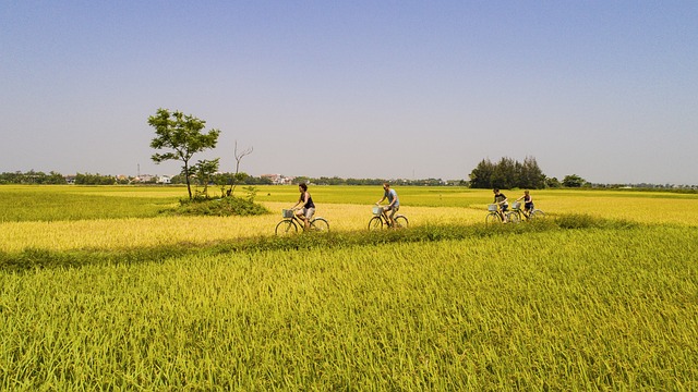 cycling