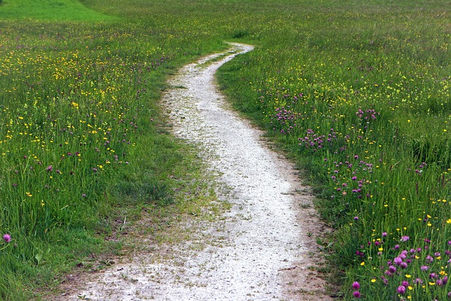 hiking