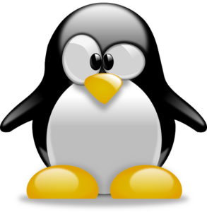 linux-640x480-61646739.png