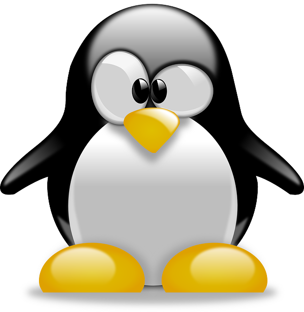 linux-640x480-61646739.png