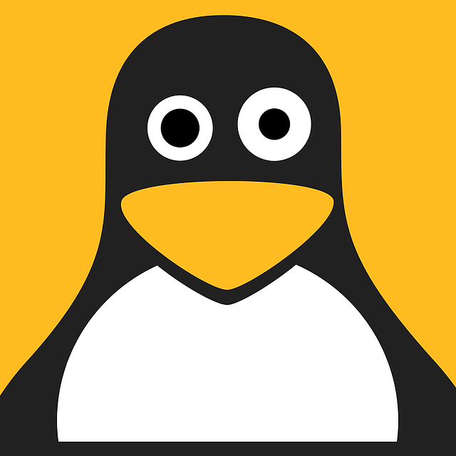 linux