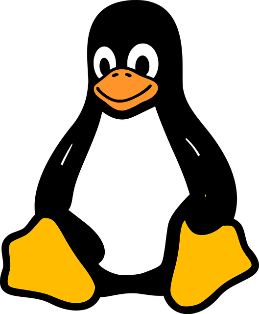 linux