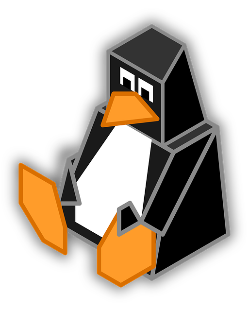 linux