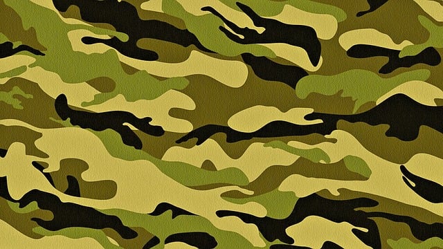 US Army