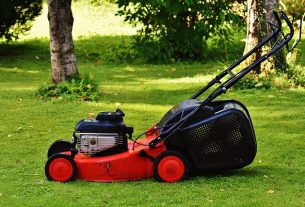 lawn-care-640x480-26453669.jpeg