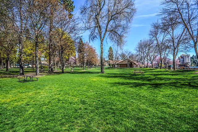 lawn-care-640x480-31377220.jpeg