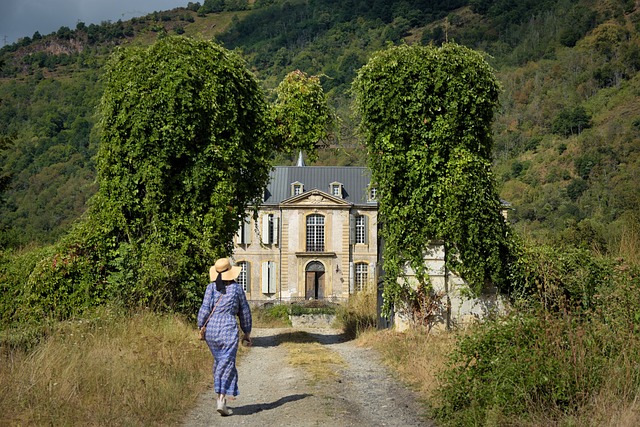 Chinese  Houses