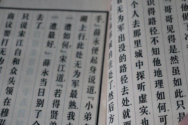 Chinese  Houses