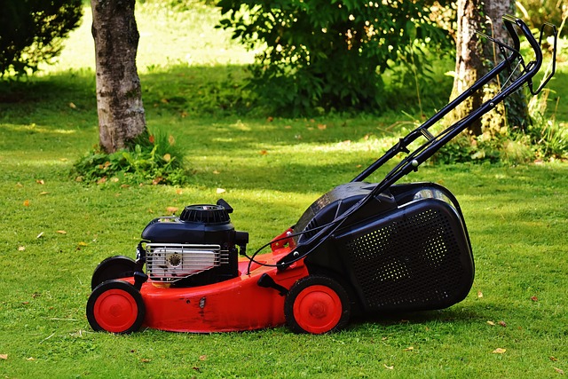 lawn-care-640x480-21513555.jpeg