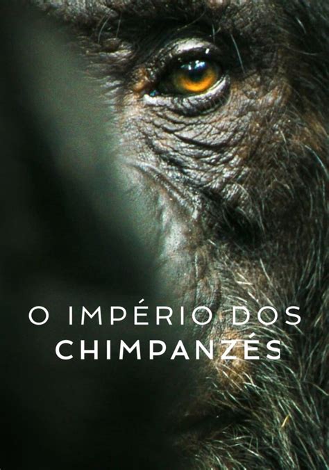 O Império 2025 𝚆𝚊𝚝𝚌𝚑