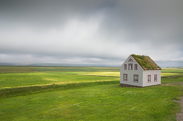 Chinese  Houses