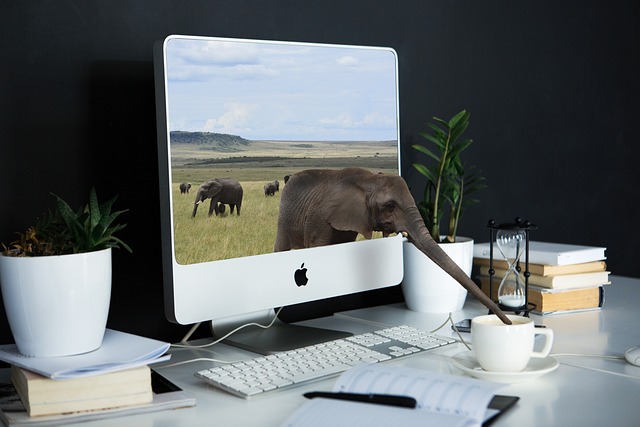 computers-640x480-7743792.jpeg