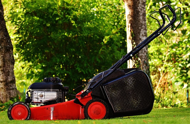 Lawn Care