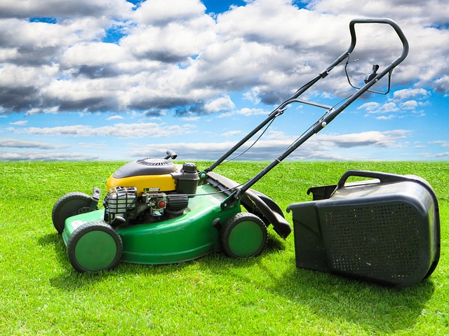 lawn-care-640x480-71554997.jpeg