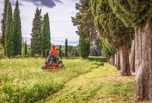 lawn-care-640x480-74744238.jpeg