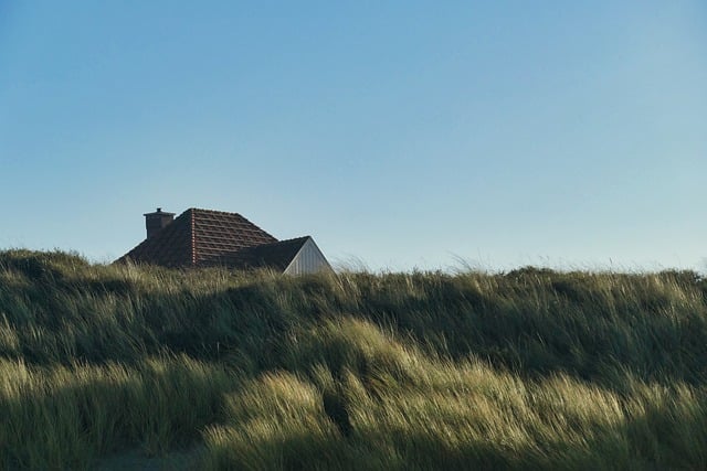 Chinese  Houses