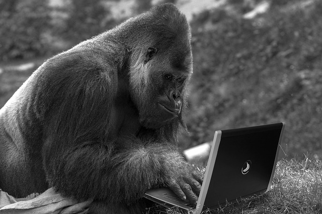 computers-640x480-37871047.jpeg